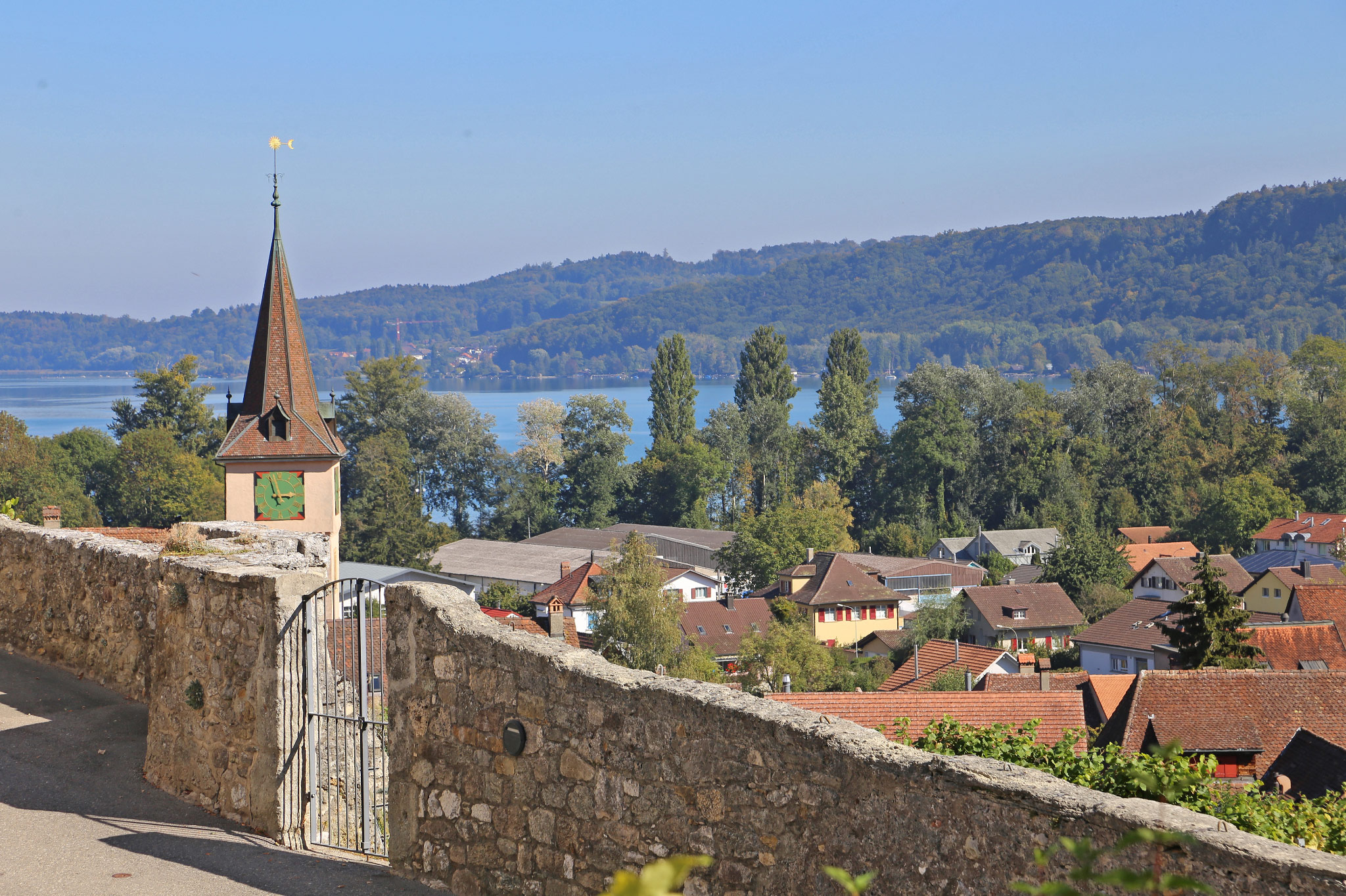 Bielersee, Erlach